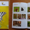Field guides - borboletas.jpg